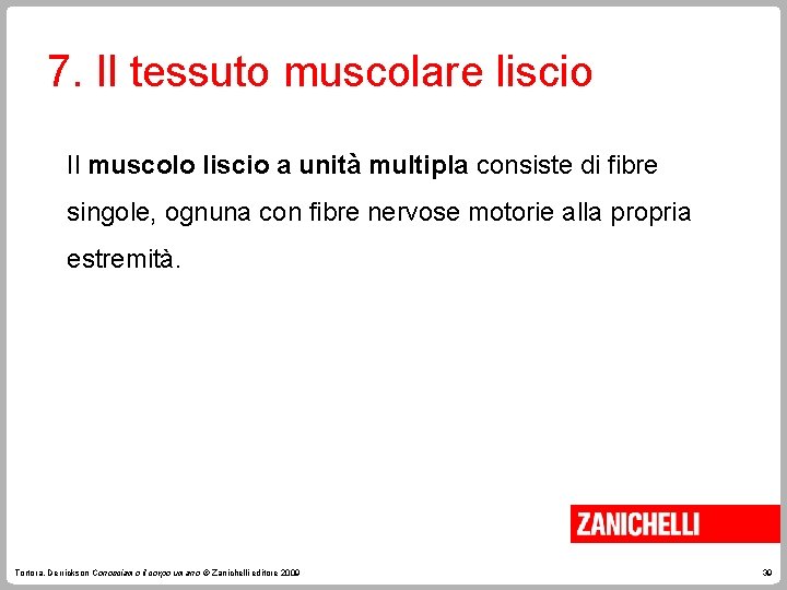 7. Il tessuto muscolare liscio Il muscolo liscio a unità multipla consiste di fibre