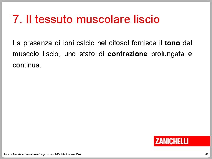 7. Il tessuto muscolare liscio La presenza di ioni calcio nel citosol fornisce il