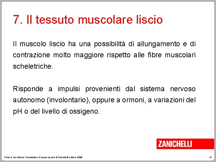 7. Il tessuto muscolare liscio Il muscolo liscio ha una possibilità di allungamento e