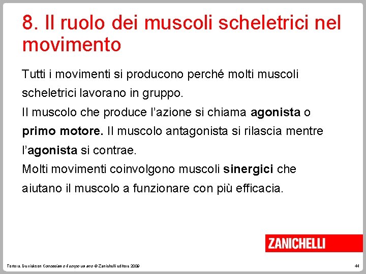 8. Il ruolo dei muscoli scheletrici nel movimento Tutti i movimenti si producono perché