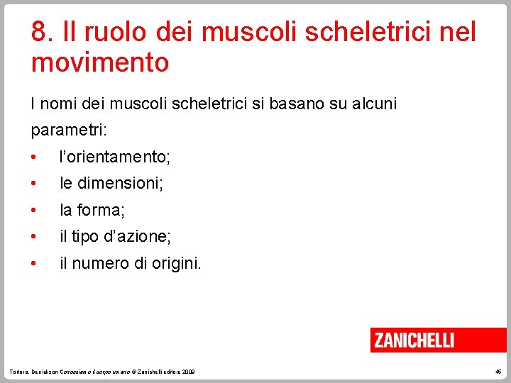 8. Il ruolo dei muscoli scheletrici nel movimento I nomi dei muscoli scheletrici si