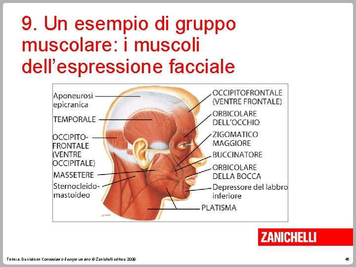 9. Un esempio di gruppo muscolare: i muscoli dell’espressione facciale Tortora, Derrickson Conosciamo il