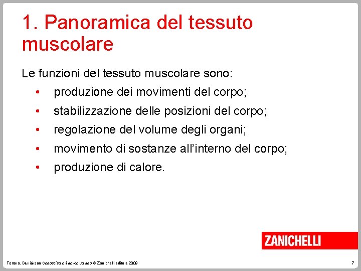 1. Panoramica del tessuto muscolare Le funzioni del tessuto muscolare sono: • produzione dei