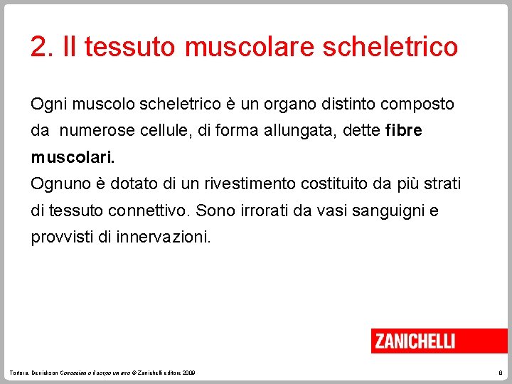 2. Il tessuto muscolare scheletrico Ogni muscolo scheletrico è un organo distinto composto da