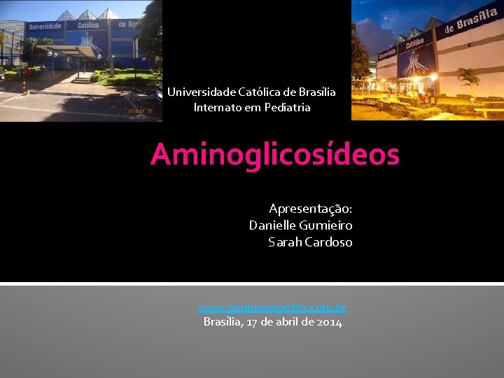 Universidade Católica de Brasília Internato em Pediatria Aminoglicosídeos Apresentação: Danielle Gumieiro Sarah Cardoso www.