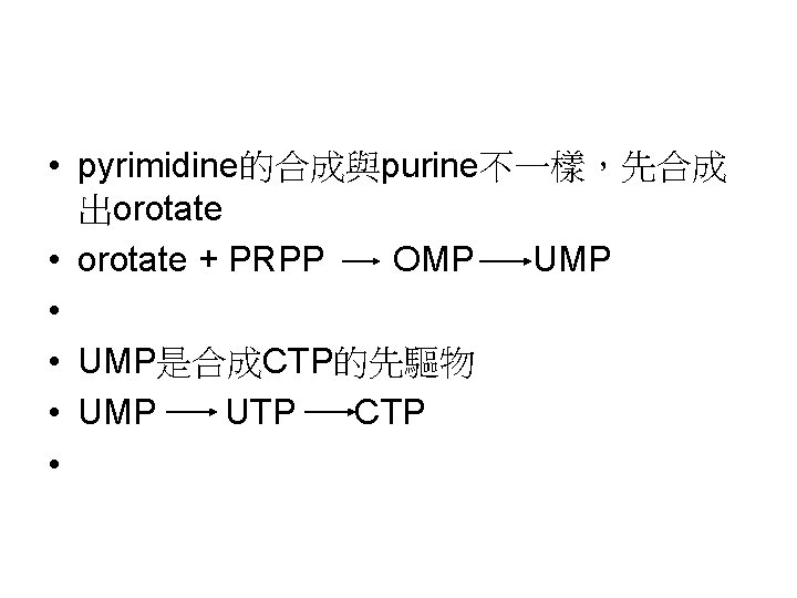  • pyrimidine的合成與purine不一樣，先合成 出orotate • orotate + PRPP OMP UMP • • UMP是合成CTP的先驅物 •