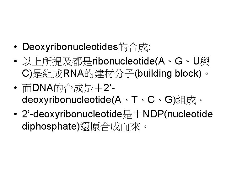  • Deoxyribonucleotides的合成: • 以上所提及都是ribonucleotide(A、G、U與 C)是組成RNA的建材分子(building block)。 • 而DNA的合成是由 2’deoxyribonucleotide(A、T、C、G)組成。 • 2’-deoxyribonucleotide是由NDP(nucleotide diphosphate)還原合成而來。 