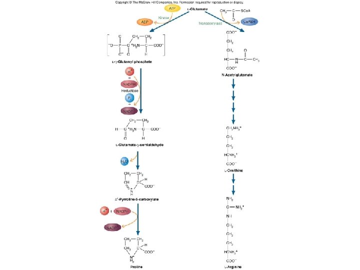 Fig. 14. 5 