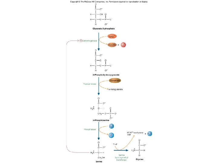 Fig. 14. 6 