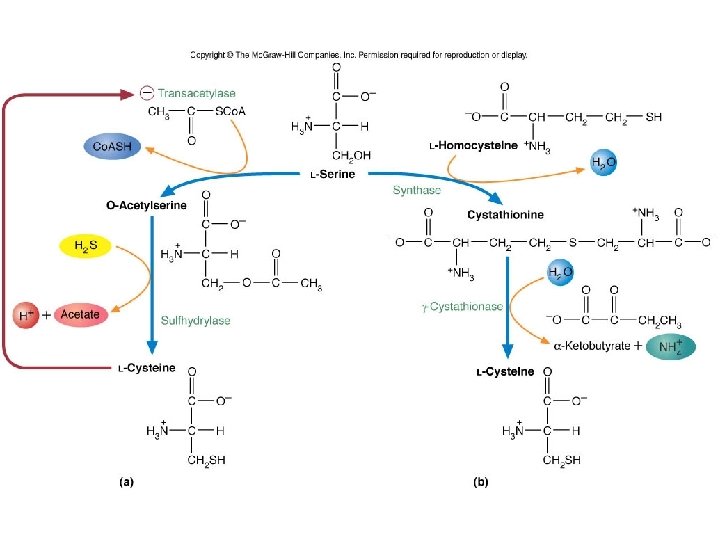 Fig. 14. 7 