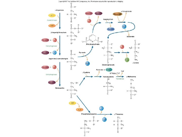 Fig. 14. 8 