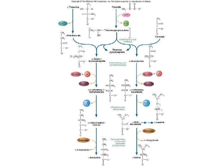 Fig. 14. 9 