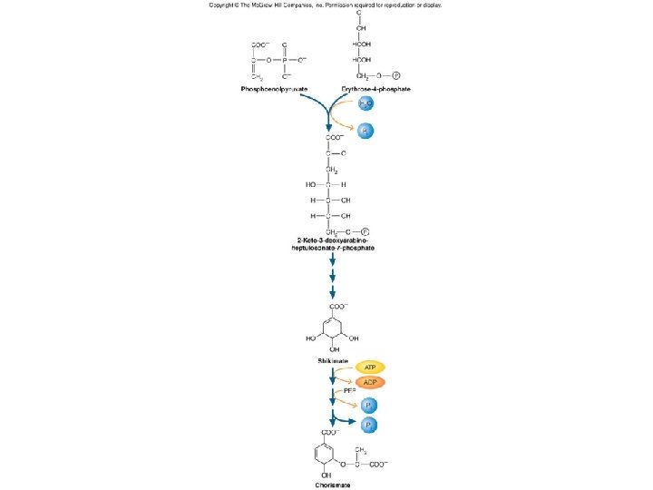 Fig. 14. 10 