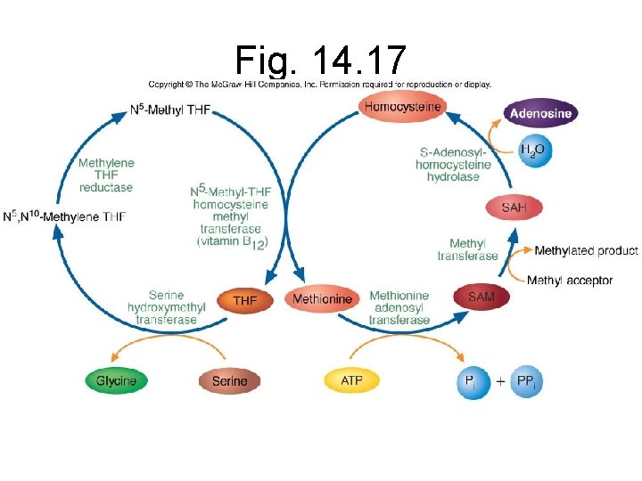 Fig. 14. 17 