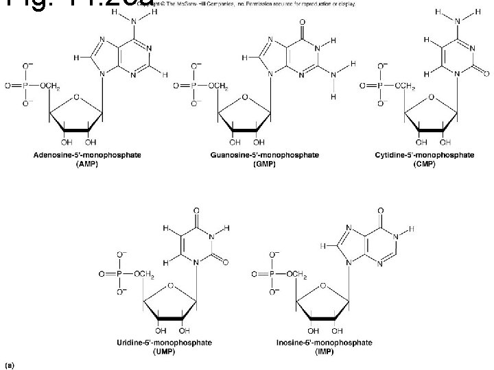 Fig. 14. 23 a 