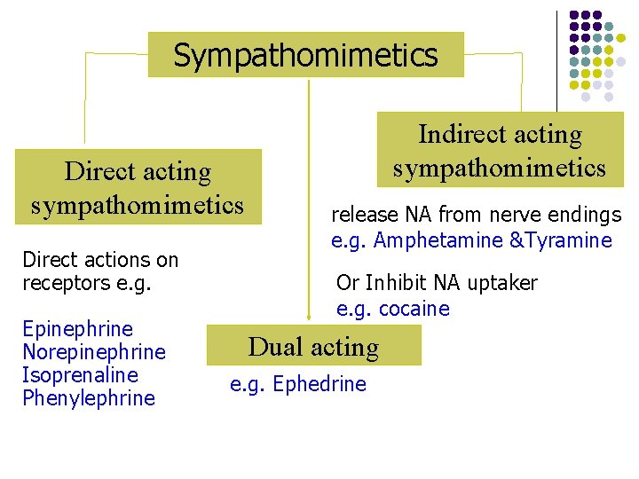 Sympathomimetics Direct acting sympathomimetics Direct actions on receptors e. g. Epinephrine Norepinephrine Isoprenaline Phenylephrine Sympathomimetics Direct acting sympathomimetics Direct actions on receptors e. g. Epinephrine Norepinephrine Isoprenaline Phenylephrine
