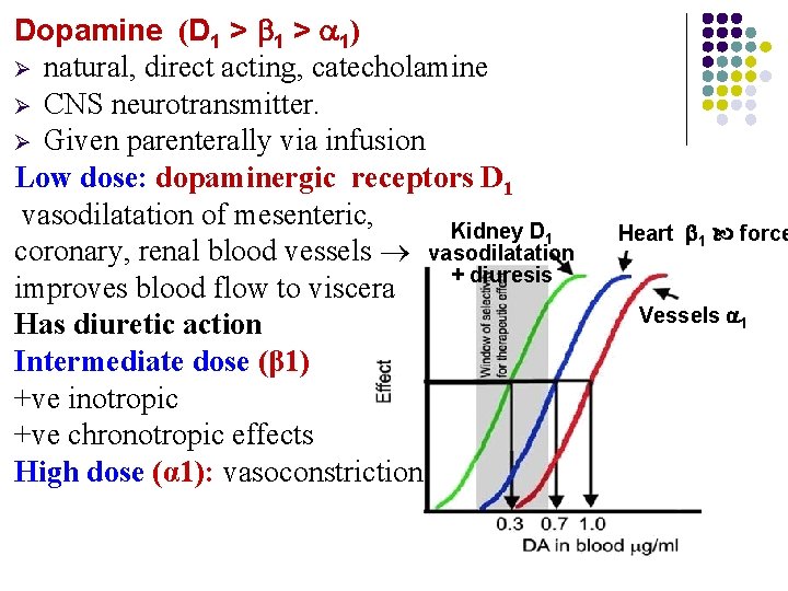 Dopamine (D 1 > 1) Ø natural, direct acting, catecholamine Ø CNS neurotransmitter. Ø Dopamine (D 1 > 1) Ø natural, direct acting, catecholamine Ø CNS neurotransmitter. Ø