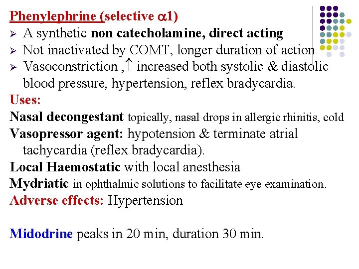Phenylephrine (selective 1) Ø A synthetic non catecholamine, direct acting Ø Not inactivated by Phenylephrine (selective 1) Ø A synthetic non catecholamine, direct acting Ø Not inactivated by