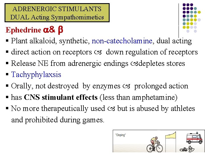 ADRENERGIC STIMULANTS DUAL Acting Sympathomimetics Ephedrine & § Plant alkaloid, synthetic, non-catecholamine, dual acting ADRENERGIC STIMULANTS DUAL Acting Sympathomimetics Ephedrine & § Plant alkaloid, synthetic, non-catecholamine, dual acting