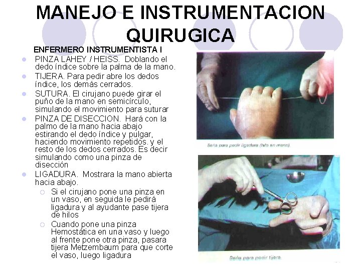 MANEJO E INSTRUMENTACION QUIRUGICA l l l ENFERMERO INSTRUMENTISTA I PINZA LAHEY / HEISS.