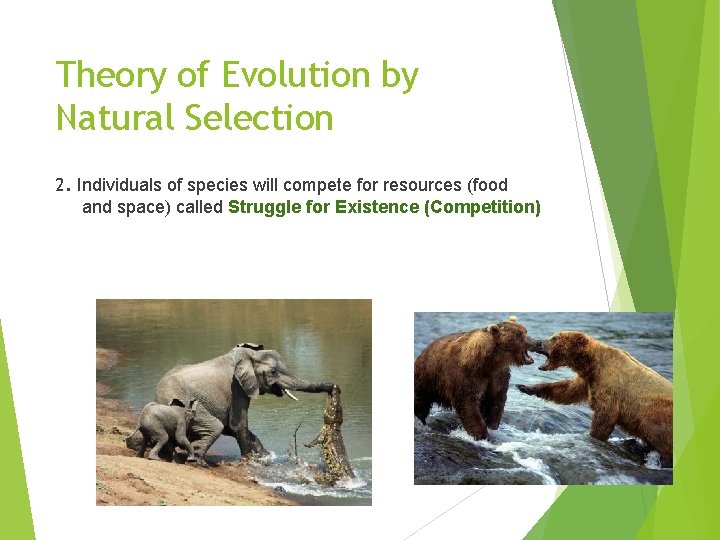 Theory of Evolution by Natural Selection 2. Individuals of species will compete for resources