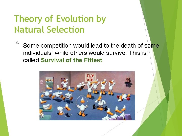 Theory of Evolution by Natural Selection 3. Some competition would lead to the death