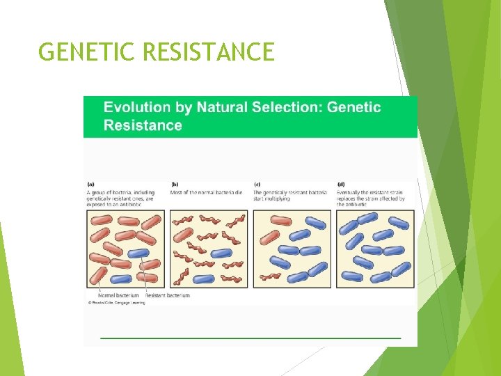 GENETIC RESISTANCE 