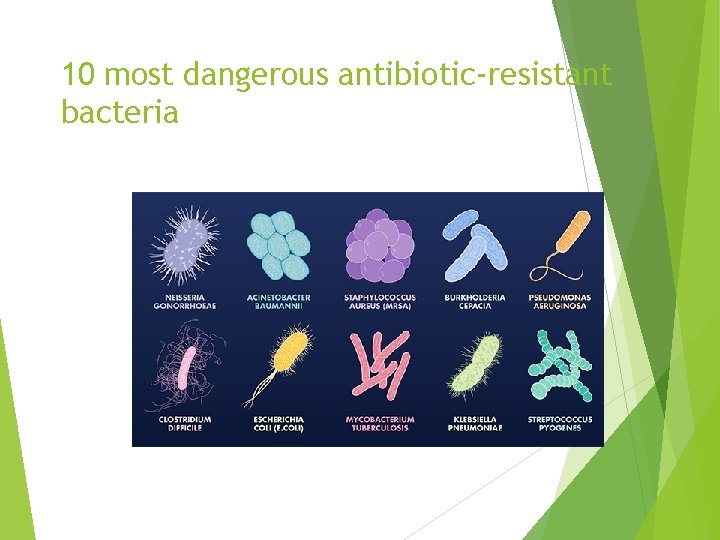 10 most dangerous antibiotic-resistant bacteria 