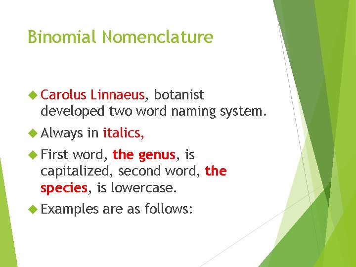 Binomial Nomenclature Carolus Linnaeus, botanist developed two word naming system. Always in italics, First