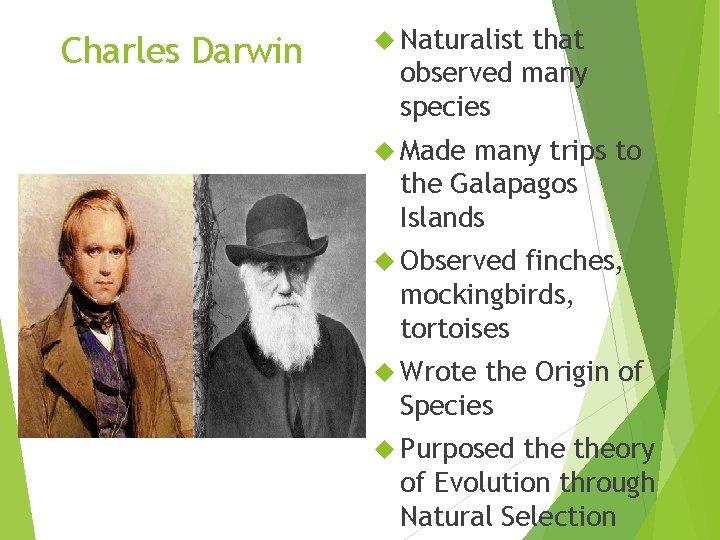 Charles Darwin Naturalist that observed many species Made many trips to the Galapagos Islands