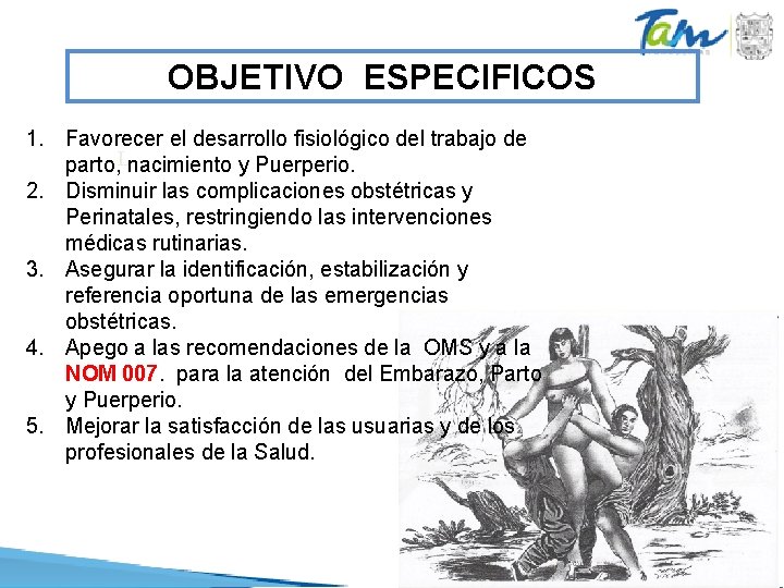 OBJETIVO ESPECIFICOS 1. Favorecer el desarrollo fisiológico del trabajo de L parto, nacimiento y OBJETIVO ESPECIFICOS 1. Favorecer el desarrollo fisiológico del trabajo de L parto, nacimiento y