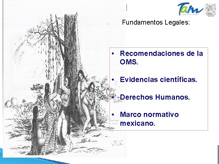 Fundamentos Legales: • Recomendaciones de la OMS. • Evidencias científicas. • Derechos Humanos. • Fundamentos Legales: • Recomendaciones de la OMS. • Evidencias científicas. • Derechos Humanos. •
