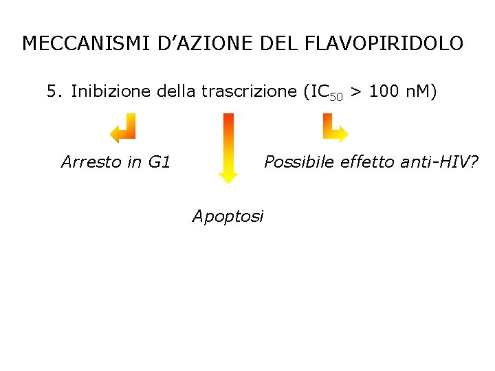 MECCANISMI D’AZIONE DEL FLAVOPIRIDOLO 5. Inibizione della trascrizione (IC 50 > 100 n. M)