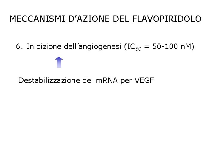 MECCANISMI D’AZIONE DEL FLAVOPIRIDOLO 6. Inibizione dell’angiogenesi (IC 50 = 50 -100 n. M)