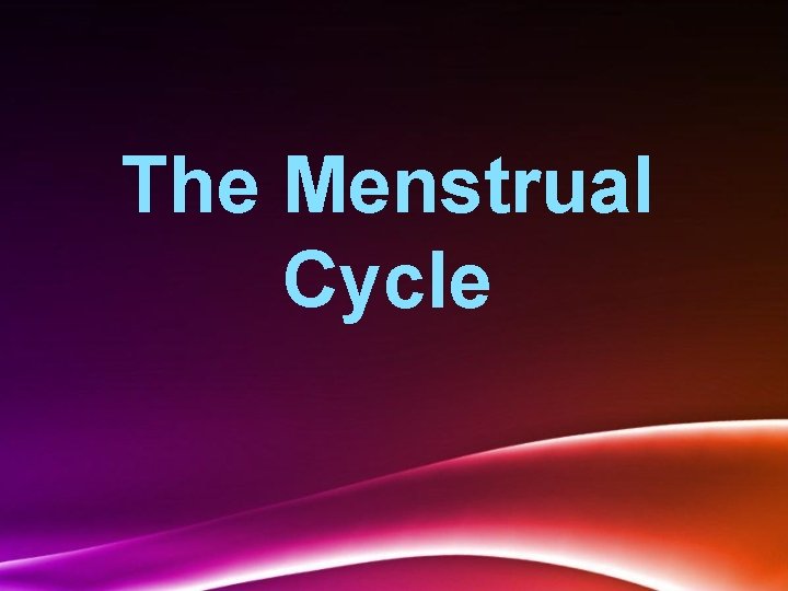 The Menstrual Cycle 