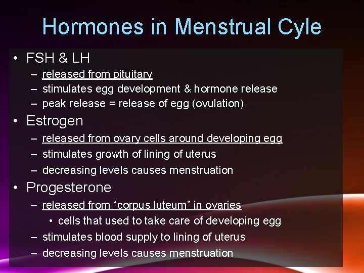 Hormones in Menstrual Cyle • FSH & LH – released from pituitary – stimulates