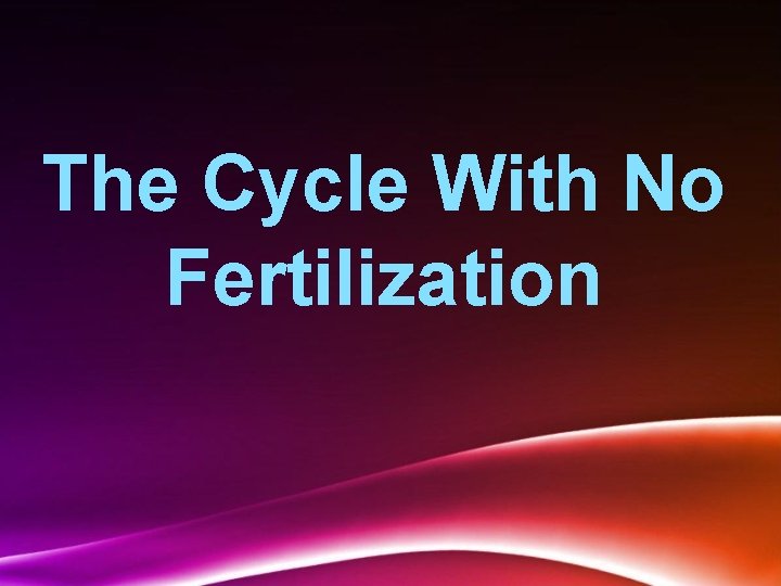 The Cycle With No Fertilization 