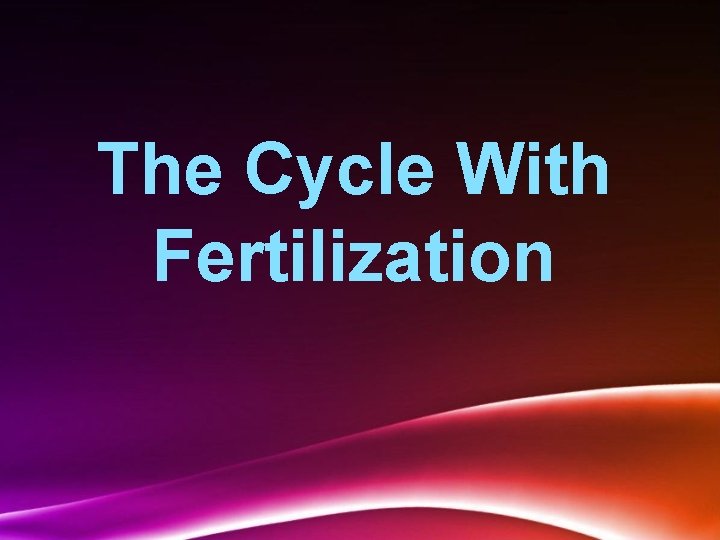 The Cycle With Fertilization 