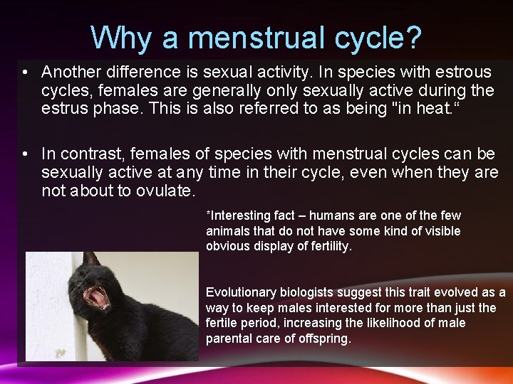 Why a menstrual cycle? • Another difference is sexual activity. In species with estrous