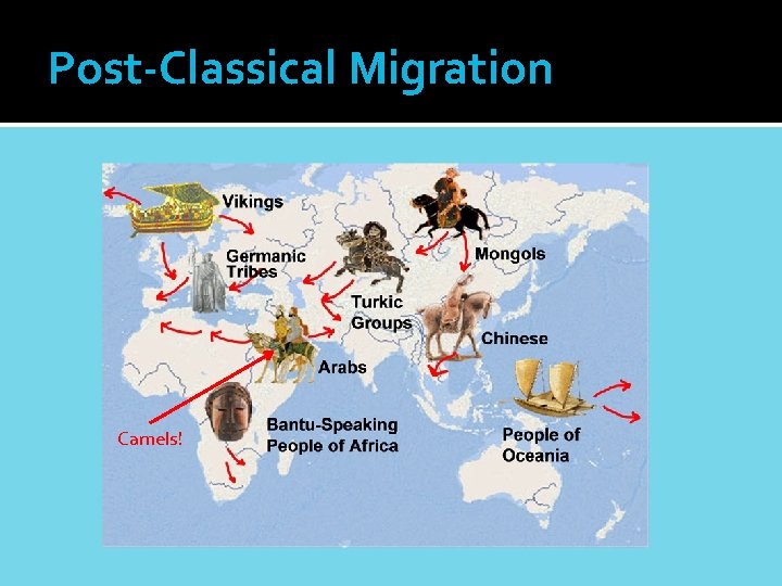 Post-Classical Migration Camels! 