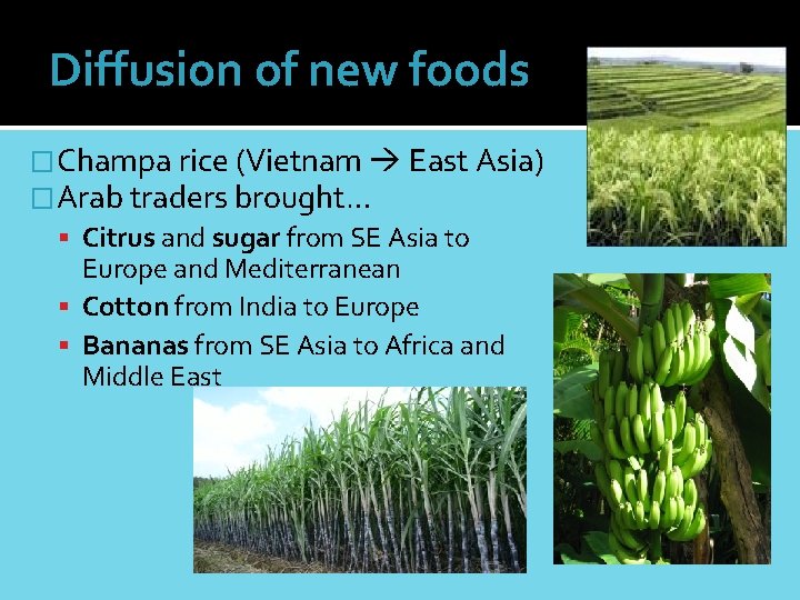 Diffusion of new foods �Champa rice (Vietnam East Asia) �Arab traders brought… Citrus and