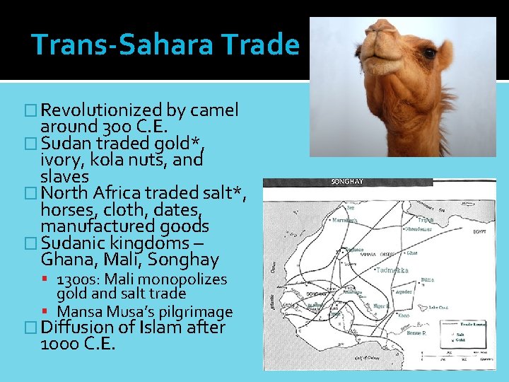 Trans-Sahara Trade � Revolutionized by camel around 300 C. E. � Sudan traded gold*,