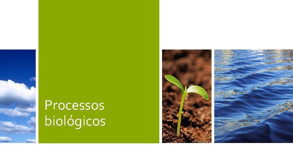 Processos biológicos 