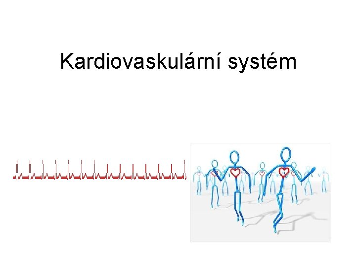 Kardiovaskulární systém Kardiovaskulární systém