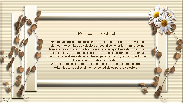 Reduce el colesterol Otra de las propiedades medicinales de la manzanilla es que ayuda