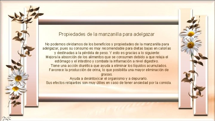 Propiedades de la manzanilla para adelgazar No podemos olvidarnos de los beneficios y propiedades