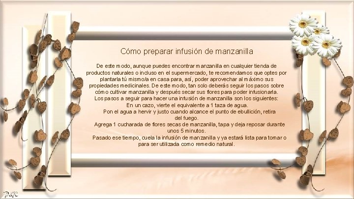 Cómo preparar infusión de manzanilla De este modo, aunque puedes encontrar manzanilla en cualquier