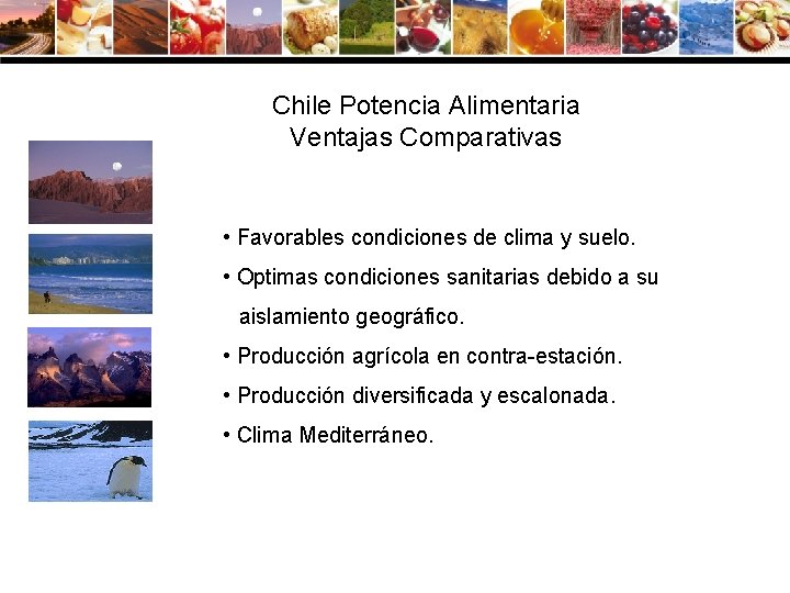 Chile Potencia Alimentaria Ventajas Comparativas • Favorables condiciones de clima y suelo. • Optimas