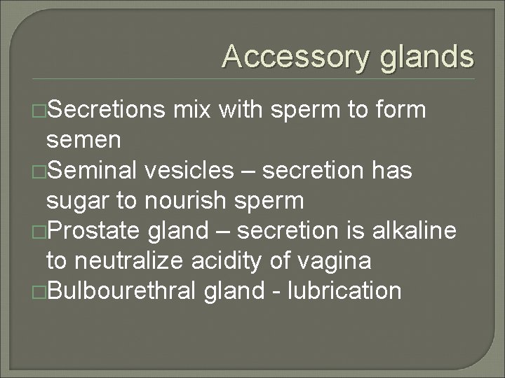 Accessory glands �Secretions mix with sperm to form semen �Seminal vesicles – secretion has