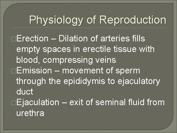 Physiology of Reproduction �Erection – Dilation of arteries fills empty spaces in erectile tissue